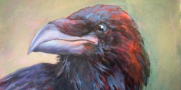 Raven
Watercolor, Acrylic, and Ink
7 x 5"
2024