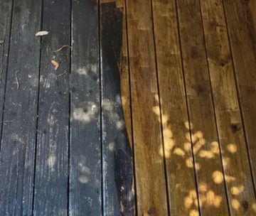 Fence staining, showing clear before-and-after contrast.