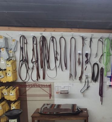horse tack