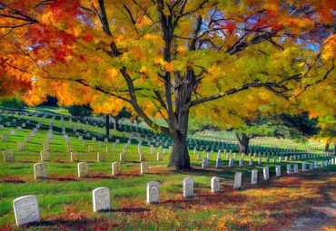 Lexington National Cemetery | Autumn morning