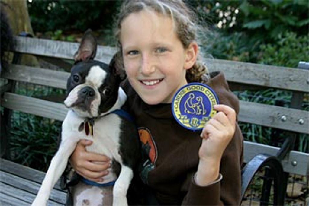 American kennel club canine good citizen award winner