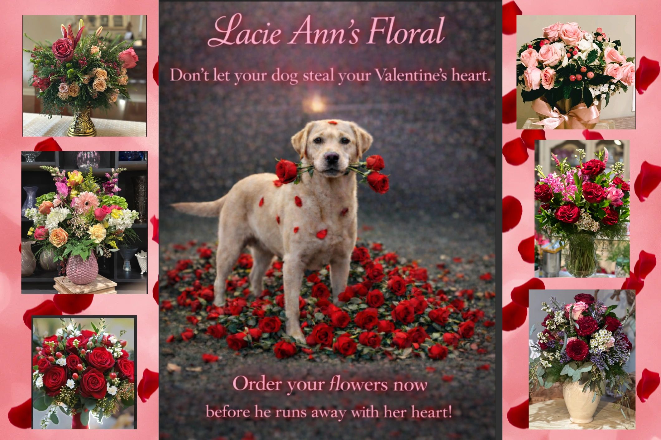 yellow lab sniffing a bunch of roses