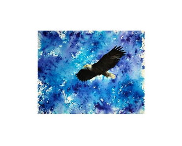 An eagle flies over the land of the free