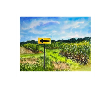 An arrow points the way in a corn field in Missouri