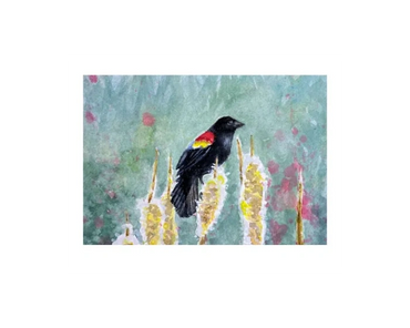 A blackbird perches on a cat tail