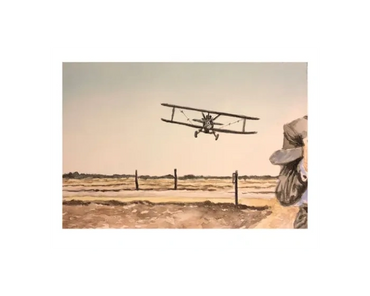 The airplane chase scene from the movie North By Northwest