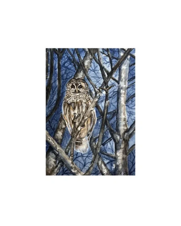An owl sits in a birch tree at night