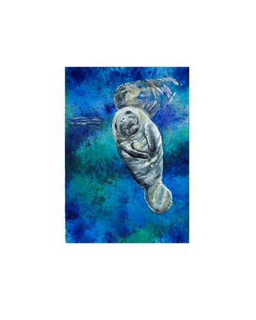 A manatee floats in the water, just chillin'