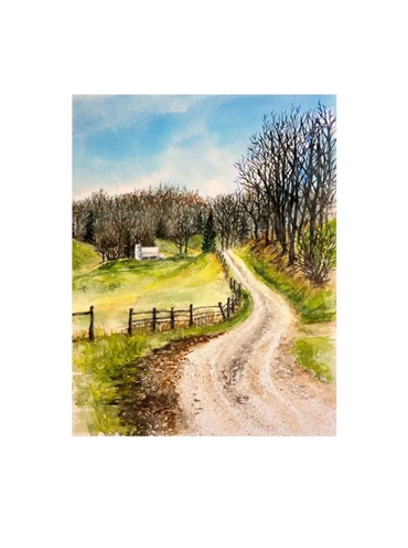 Looking down a dirt road in rural Missouri