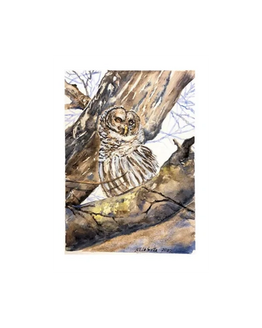 An owl is camouflaged by the tree he sits in