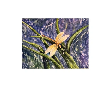 A dragonfly with an abstract background