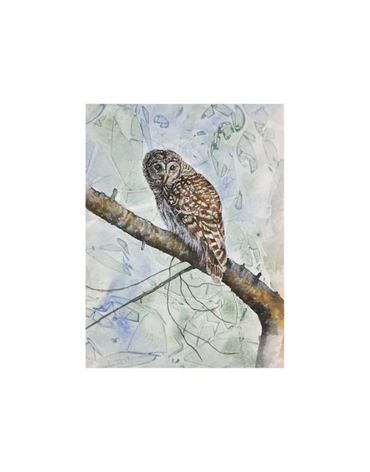 Another pose from Frank, the owl who lives in the tree behind our house