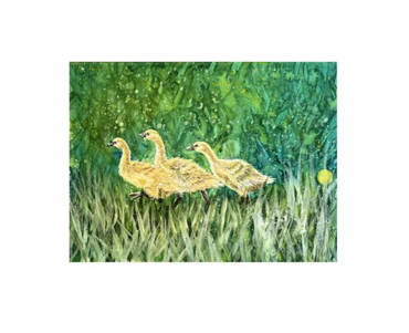 Baby geese running for their mother