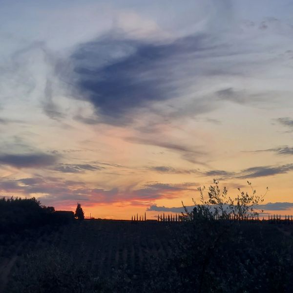 Sunset over rolling countryside hills with a blue, orange, and golden sky