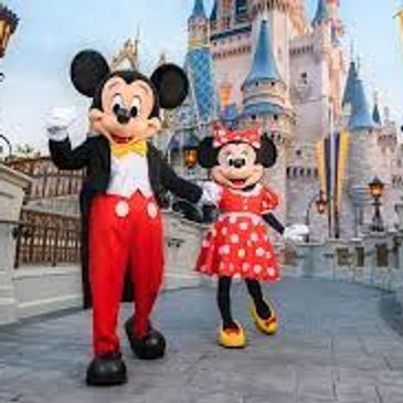 Disney planner travel advisor