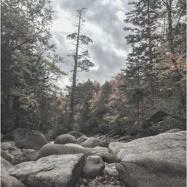 A riverbed with large boulders and coniferous trees on an overcast day in New Hampshire