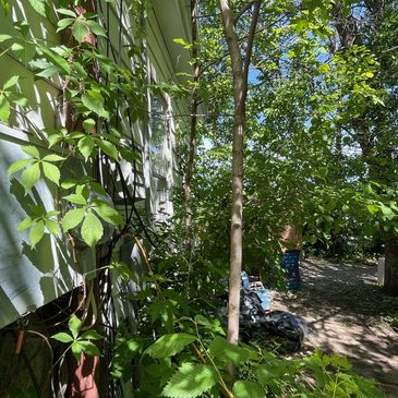 Hibbing home inspection