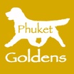 Phuket Goldens