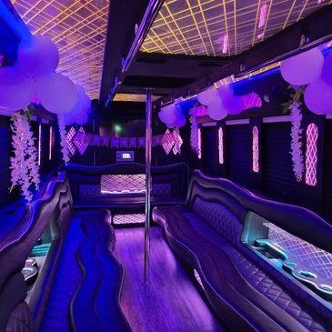 Partybus Interior lighting. Spacious, luxurious and Comfortable!