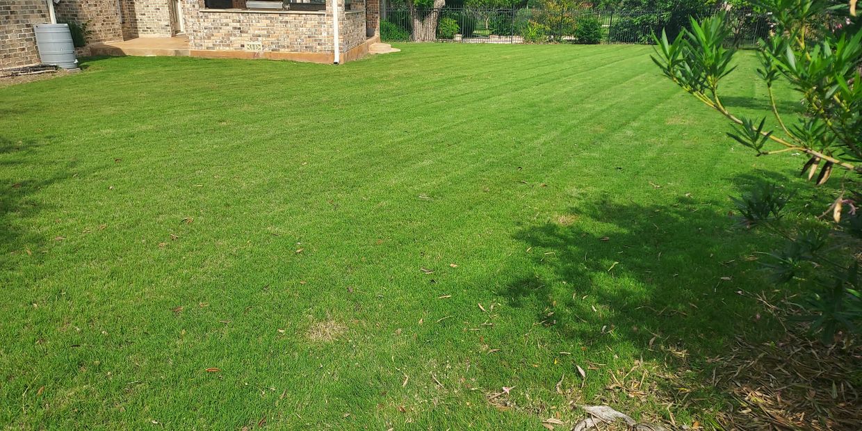 A well-maintained green lawn in front of a brick house.