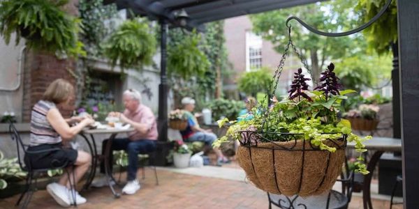 People enjoying a meal in a cozy outdoor garden cafe with hanging plants.