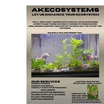 Let Us Enhance Your Ecosystem!