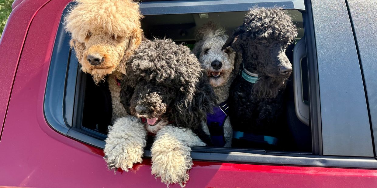 Persephone-Maia-Circe-Hades