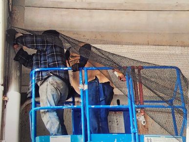 My dad and I installing bird netting around a pole on the wall of the stadium ceiling