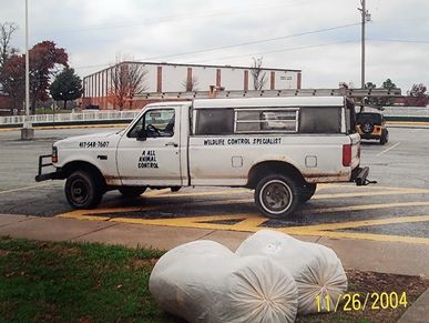the start of our bird netting career in Joplin MO