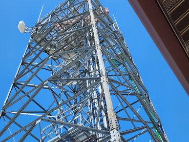 Airport Tower to direct plane traffic needs bird net