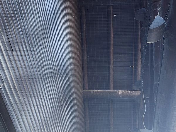 pigeons were roosting and nesting in entrance canopy of camping world at Onalaska WI