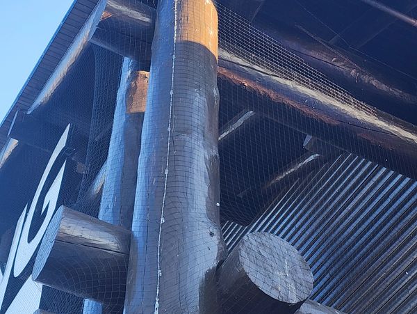 netting installed is virtually invisible at any distance