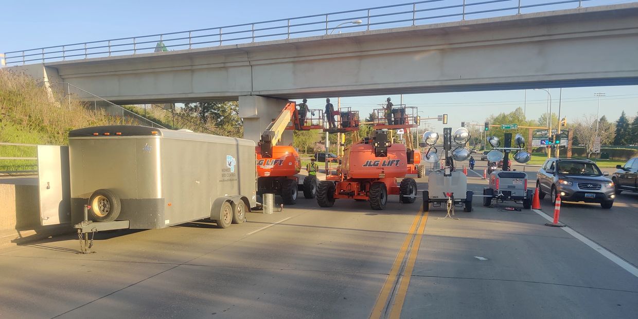 midwest bird control crew working in bismarck nd for the city of