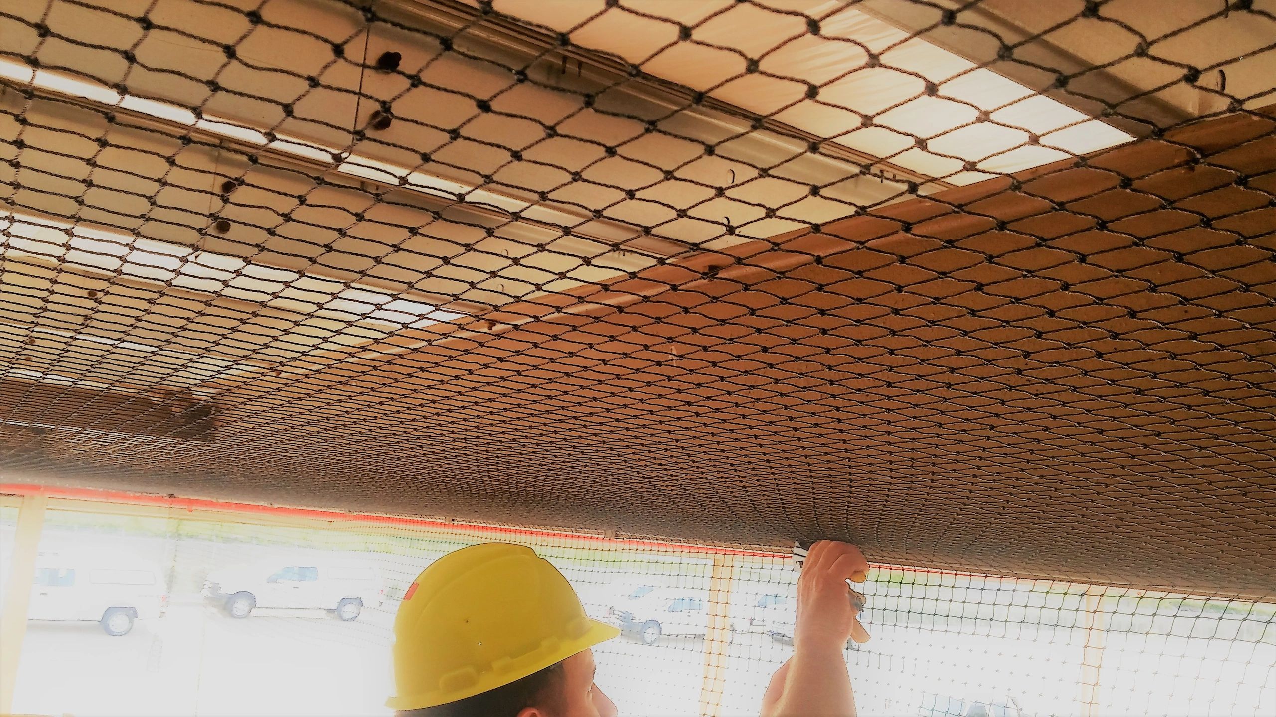 Midwest Bird Control Bird Control, Netting, Spikes, Shock, Trapping