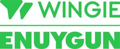Logos of Wingie and Enuygun travel companies in green.