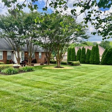Well-maintained backyard with lush green grass and trimmed trees.