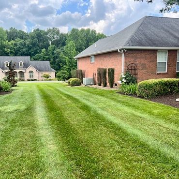 Well-manicured lawn with striped mowing pattern beside suburban houses.