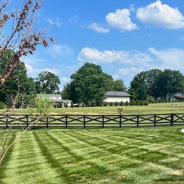 A neatly mowed lawn with a wooden fence under a clear blue sky.