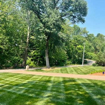 A well-maintained lawn with striped mowing patterns and surrounding trees.
