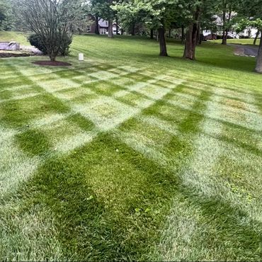 Lawn with an intricate checkered pattern created by mowing.