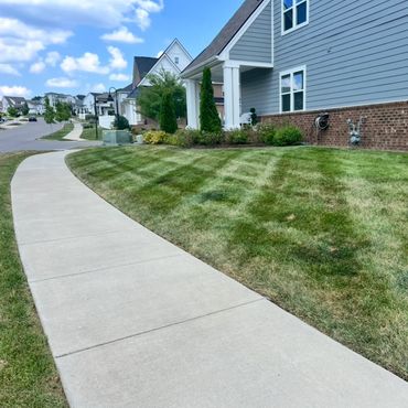 Neatly mowed lawn with striped grass patterns beside a suburban sidewalk.