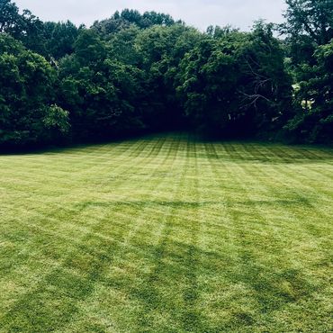 A freshly mowed grassy field bordered by dense trees under a cloudy sky.