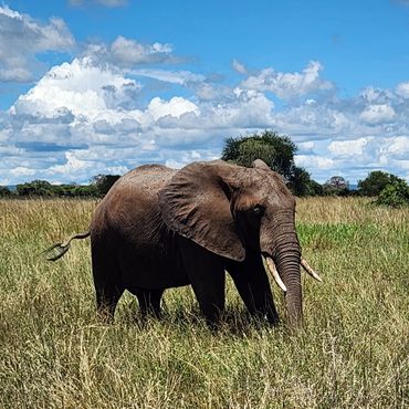 Tarangire National Park
Tanzania, Africa
