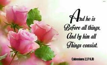 By him all things consist
