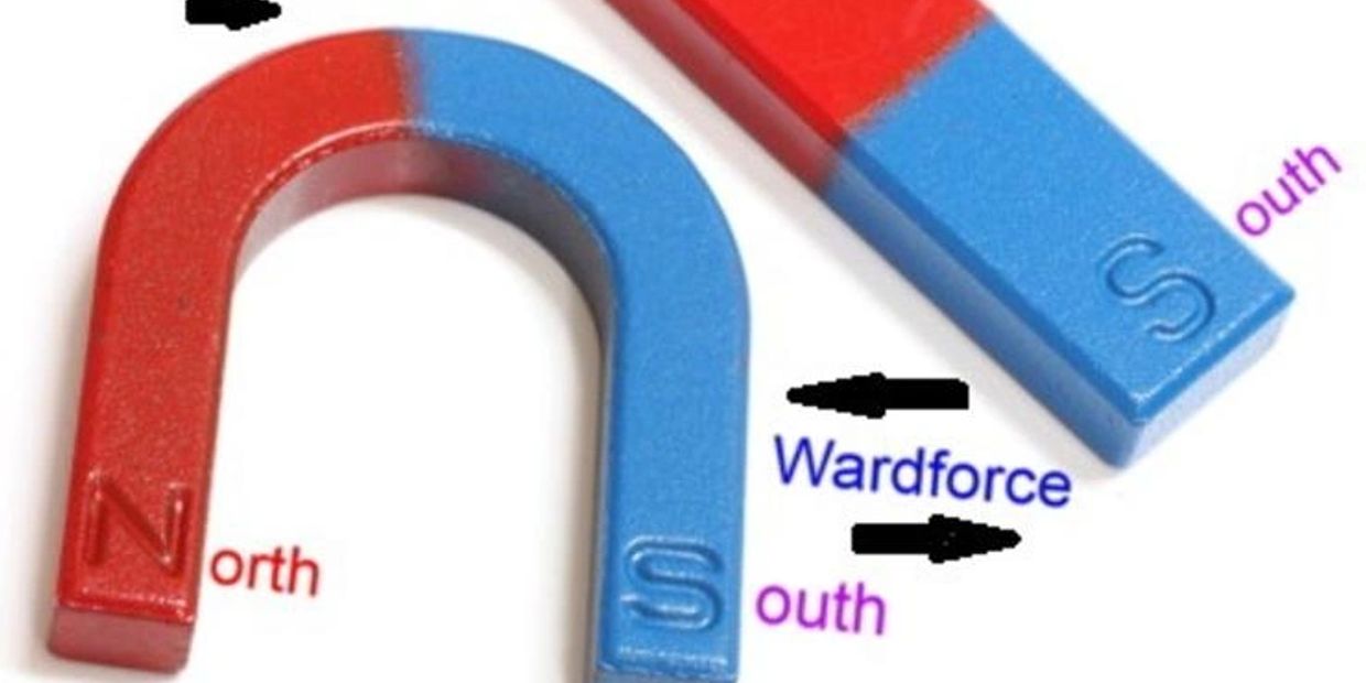 These are invisible parts of a permanent magnet.