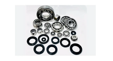 Various metal ball bearings and rubber seals arranged on a white surface.