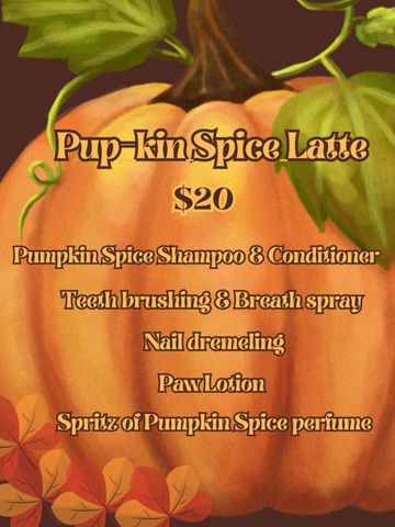 Fall special