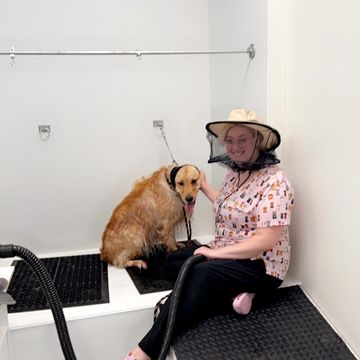 Maggie shielding her hair and face, all that flying hair! The dog ears are covered for protection