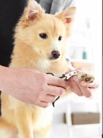 Trim those toes