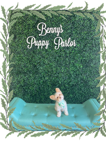 Benny